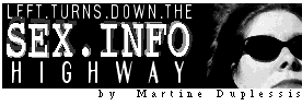 LEFT.TURNS.DOWN.THE SEX.INFO HIGHWAY by Martine Duplessis